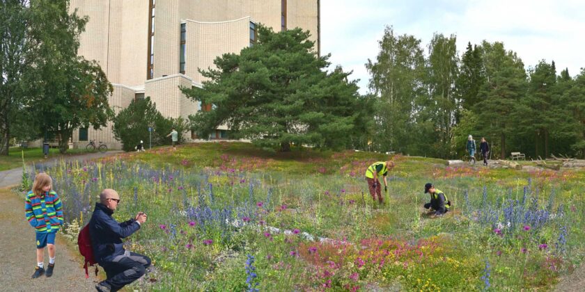 Liisanpuiston keto, Tampere