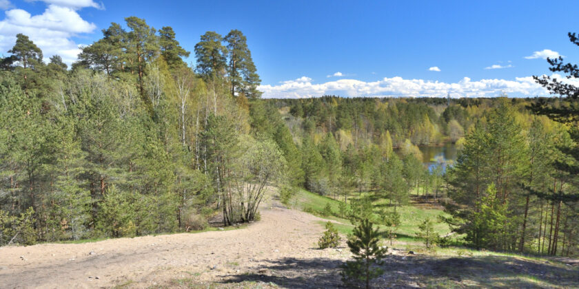 Skanssin biodiversiteettipuisto, Turku
